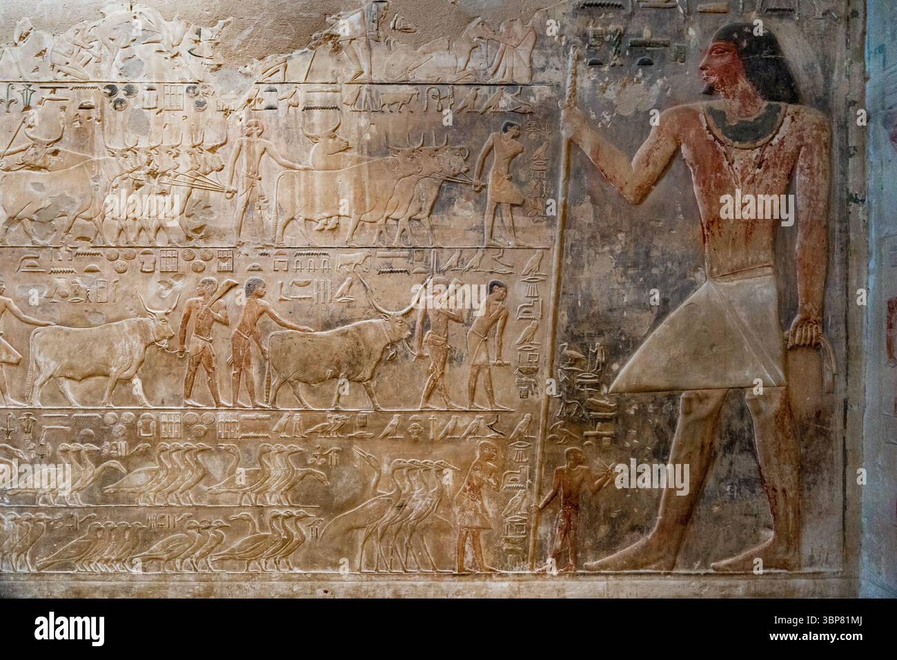 Die Mastaba von Akhtihotep und Ptahhotep Tshefi: Ptahhotep wird in diesem Basrelief in seiner Mastaba in Sakkara dargestellt. Stockfoto