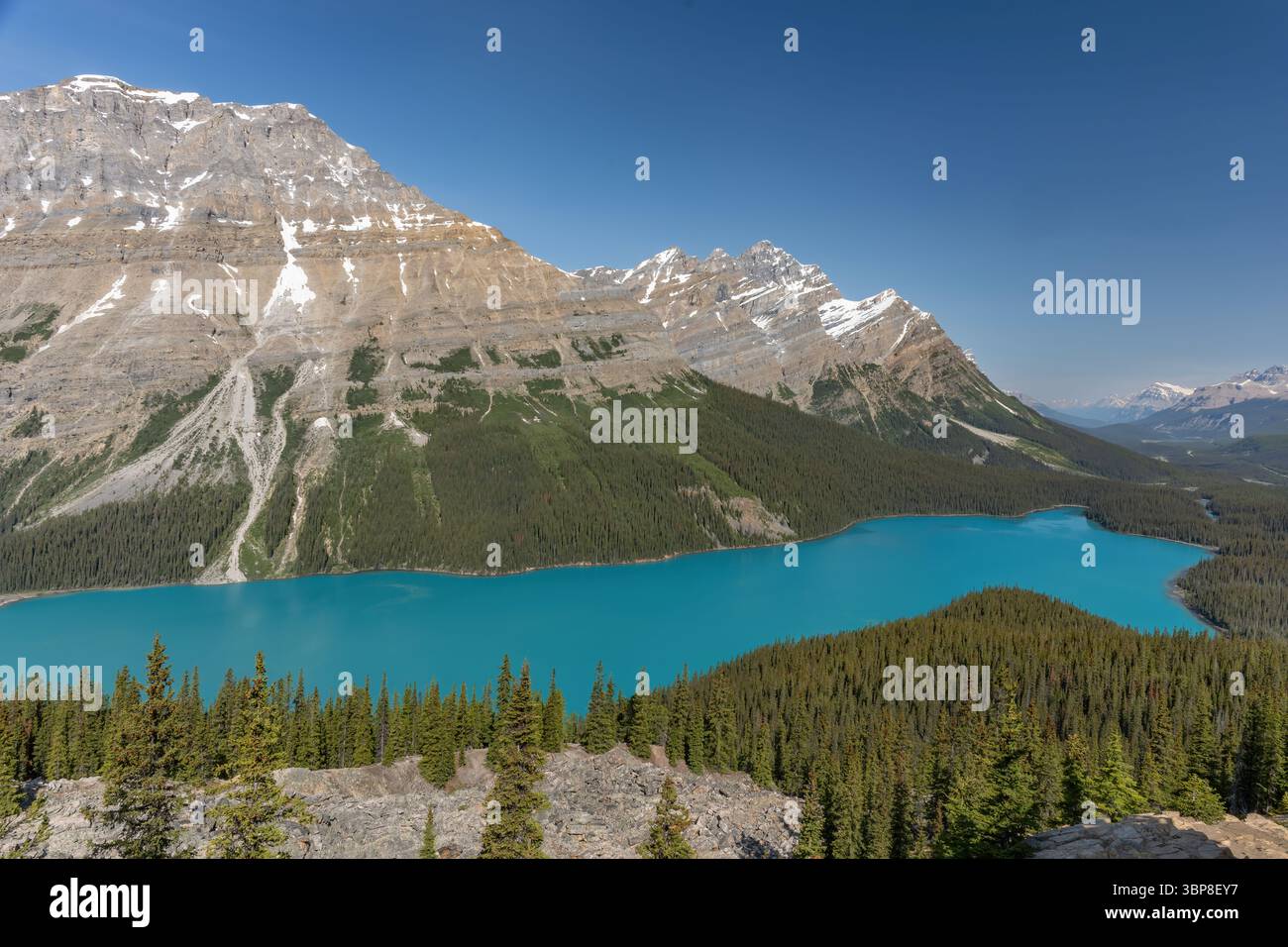 Peyto Lake mit klarem blauem Himmel, Icefields Parkway, Banff National Park, Alberta, Kanada. Stockfoto