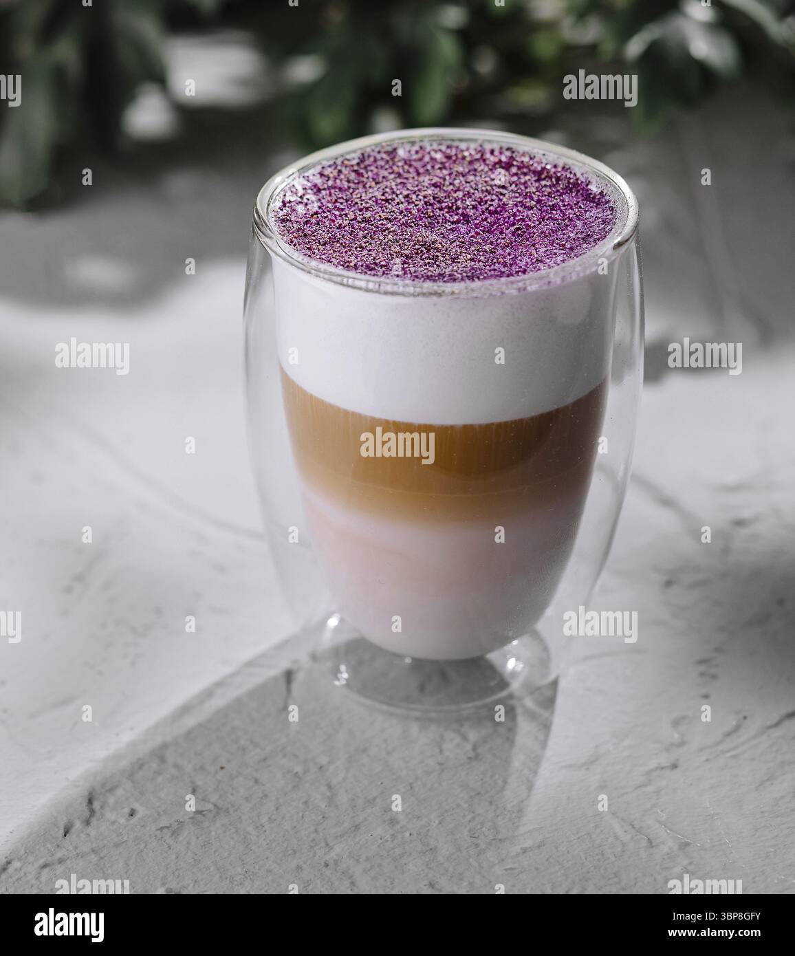 Essen, trendiger Lagenlatte mit lila Schaum in einem klaren Becher, auf strukturierter grauer Oberfläche mit Grün Stockfoto