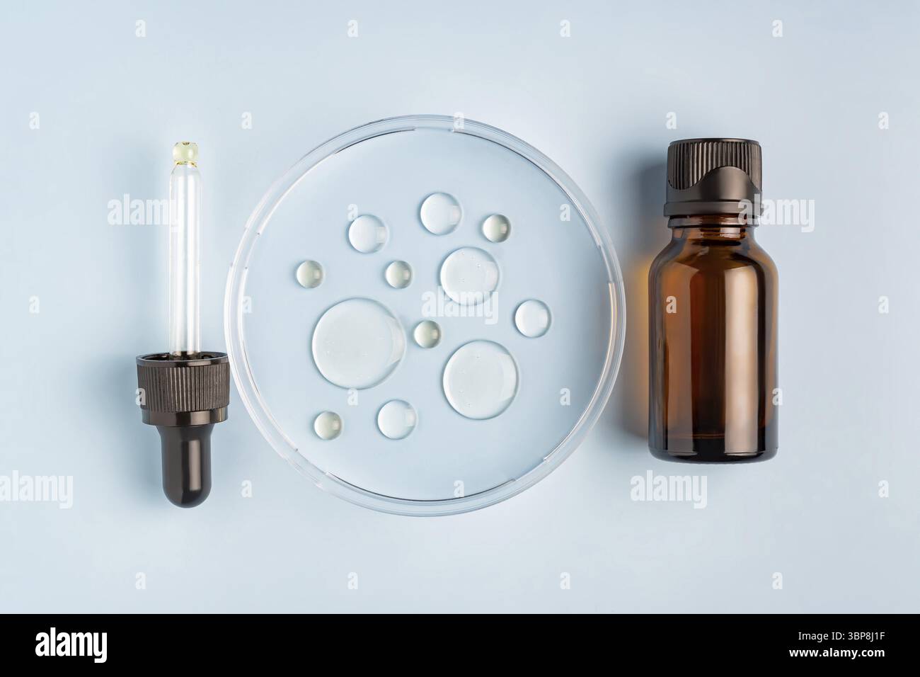 Serum mit Pipette in Petrischale auf blauem Hintergrund. Draufsicht, flach. Kosmetisches Labor für Dermatologie-Wissenschaft. Naturmedizin, kosmetische Forschung Stockfoto