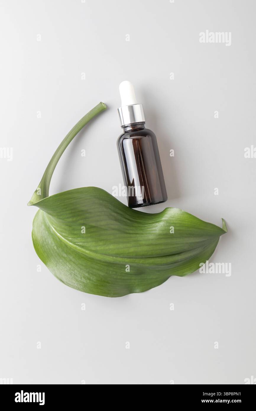 Beauty-Behandlung Hautpflege und kosmetische Lotion, Serum oder Öl Mockup Flasche Verpackung Produkt auf grauem Hintergrund. Moderne Produktpräsentation mit Grün Stockfoto