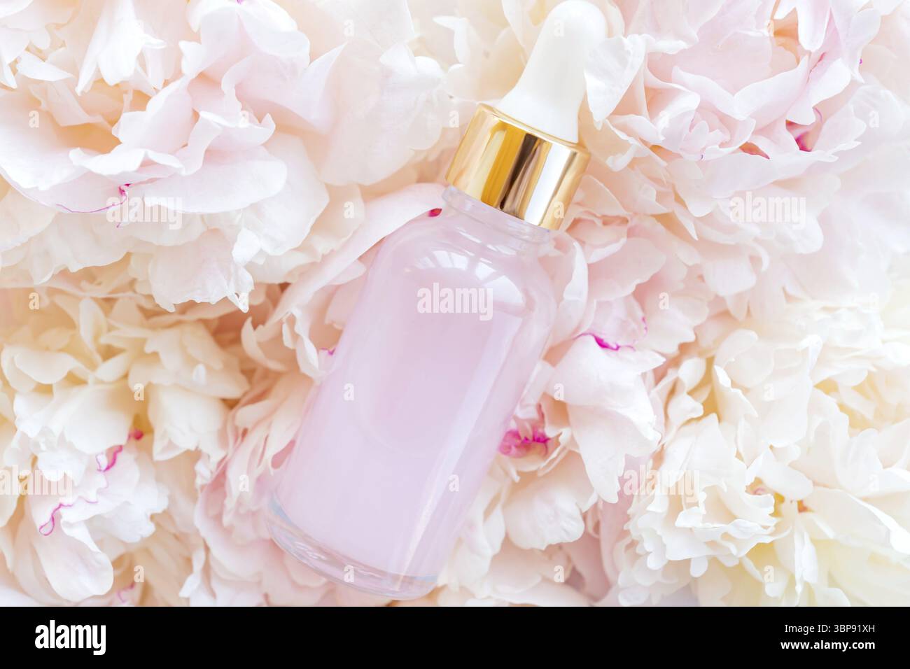 Eine rosa Glasflasche mit einem Serum, ätherischem Öl oder einem anderen kosmetischen Produkt, vor einem Hintergrund rosa Pfingstrosen. Natürliche organische kosmetische Verpackung, s Stockfoto