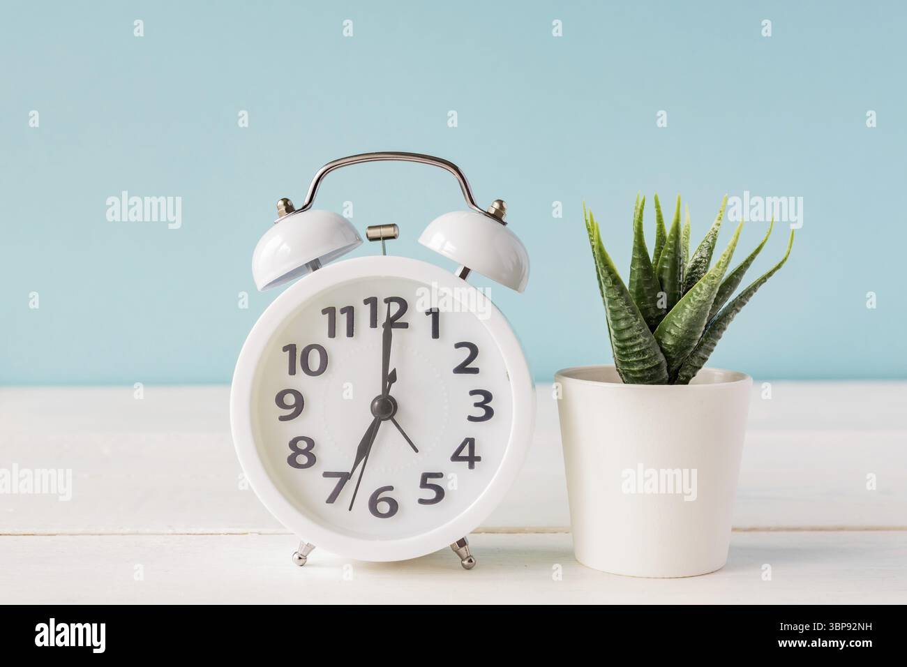 Weißer Wecker steht auf einem Holzregal neben Cactus in einem Topf auf blauem Hintergrund Stockfoto