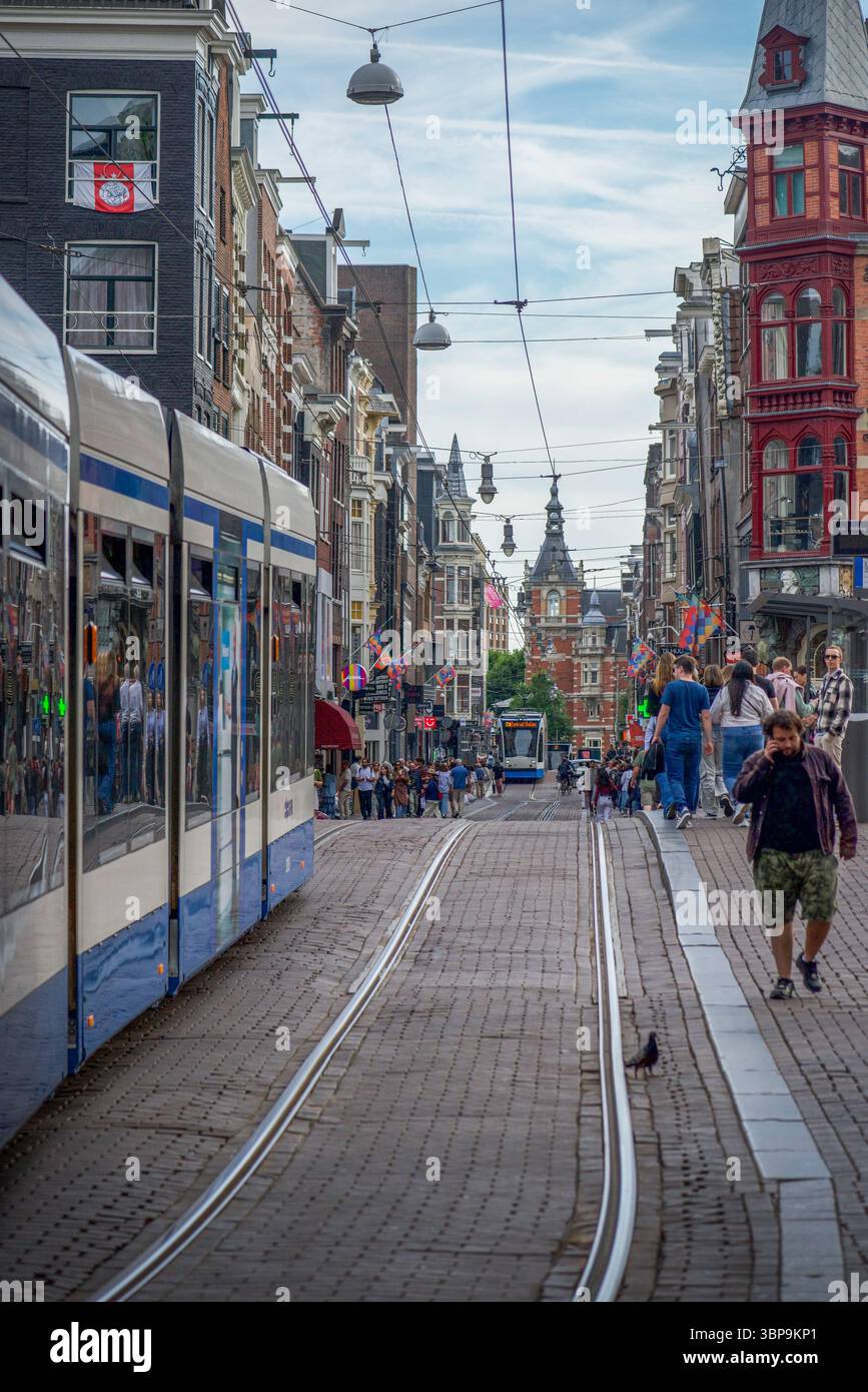 Straßenszenen in Amsterdam, Niederlande - Straßenbahn zum Hauptbahnhof Stockfoto