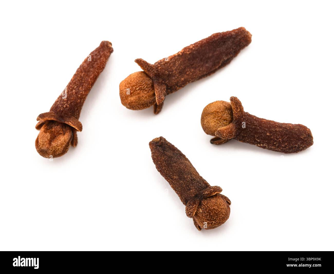 Nelken, die isoliert auf weißem Hintergrund Stockfoto