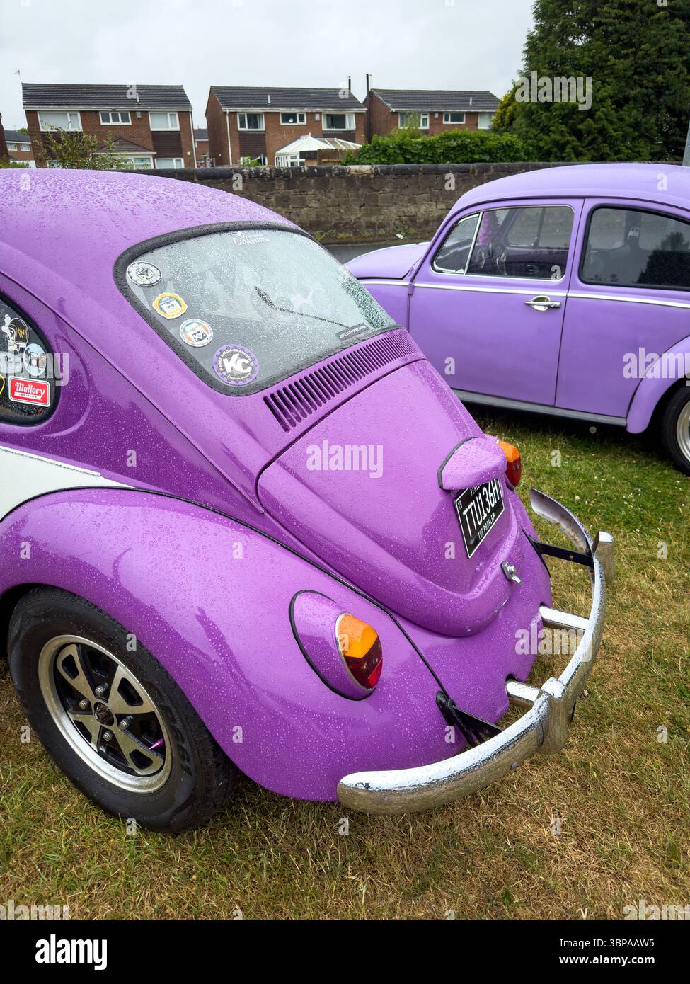 Zwei klassische Volkswagen-Käfer im Vintage-Stil auf Gras mit farbenfrohen Lackierungen und glänzenden Chromdetails Stockfoto