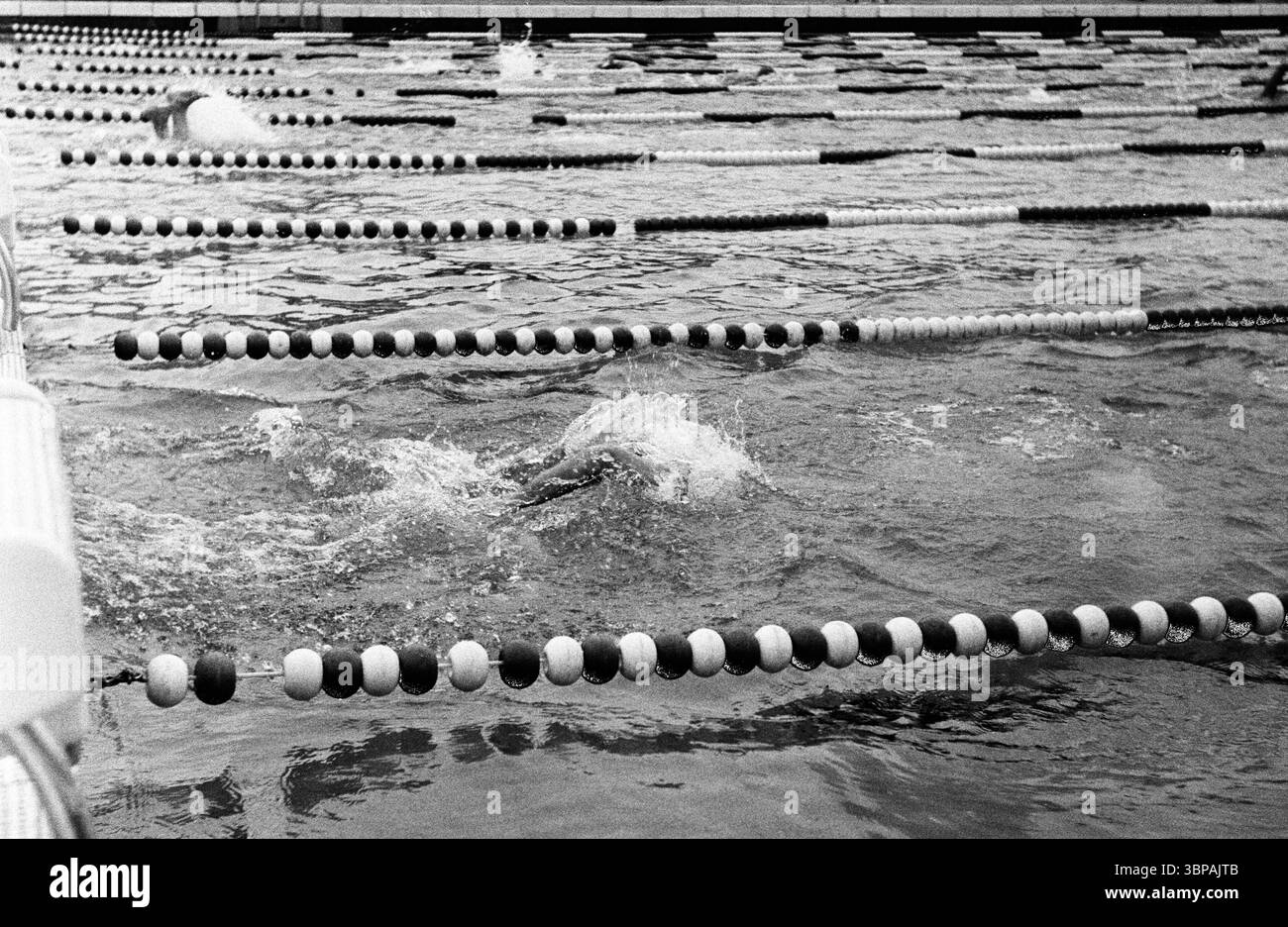 60er Jahre, Sport, Schwimmen, Westdeutsche Meisterschaften im Juli 1965 in den Grugatherden in Essen-Ruettenscheid, Schwimmwettbewerb, Deutschland, Essen, Ruhrgebiet, Nordrhein-Westfalen, NRW Stockfoto