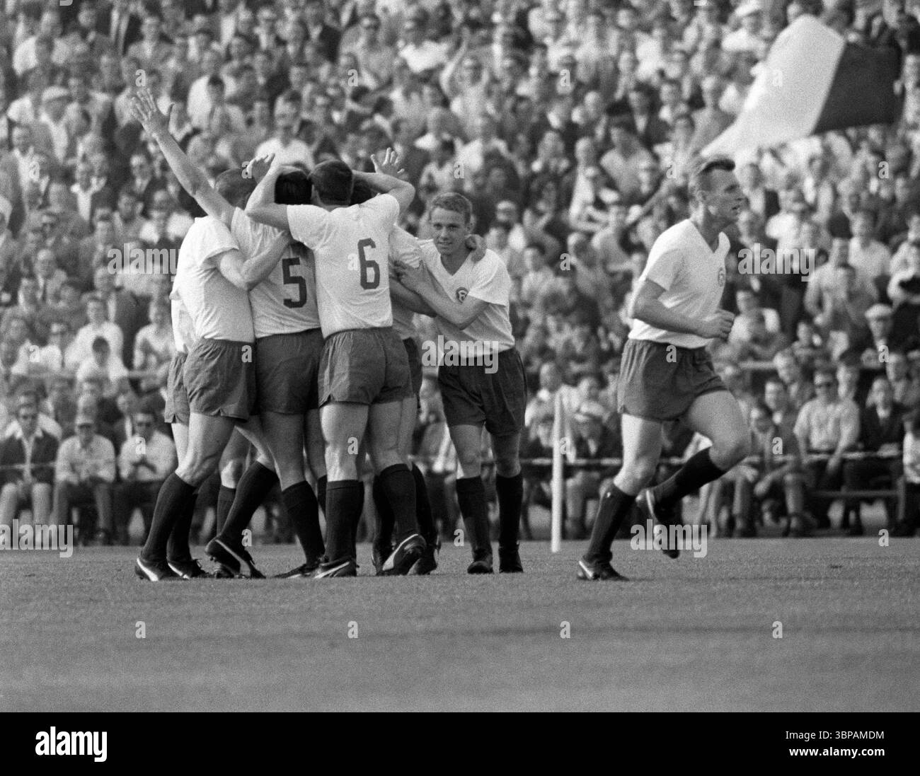 60er Jahre, Sport, Fußball, Regionalliga West, Regionalliga verklagt, 1965/1966, Aufstiegsspiel zur Bundesliga 1966/1967, Fortuna Düsseldorf gegen Kickers Offenbach 2-0, 04.06.1966, Rheinstadion Düsseldorf, Freude am 1:0, Torschütze Waldemar Gerhardt (F95) nicht sichtbar, f.l.t.r. Peter Meyer (F95), Werner Biskup (F95), Horst Haefner (F95), Willi Marzok (F95), Reinhold F95), Reinhold F95) Stockfoto