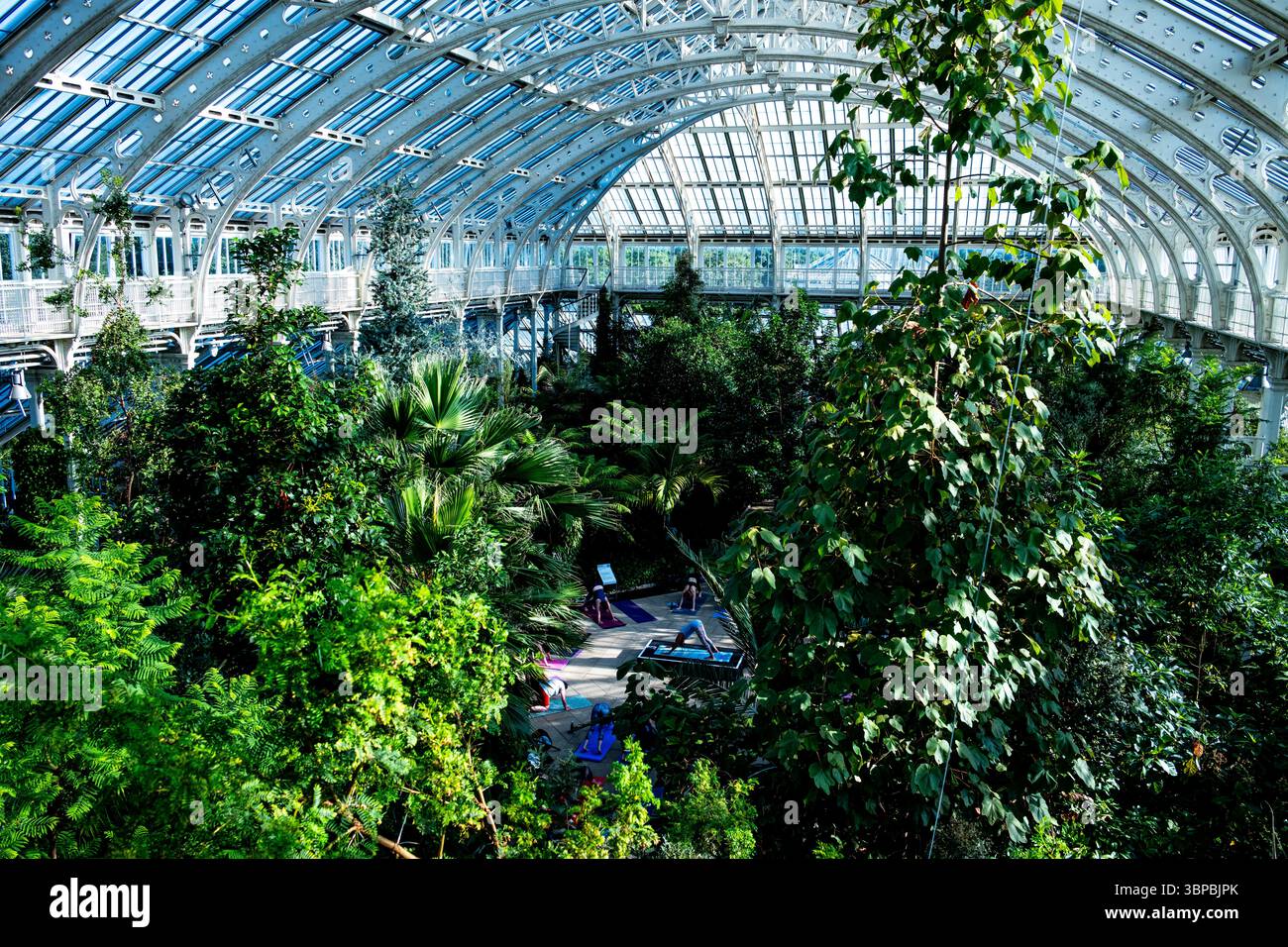 Gemäßigtes Haus mit seltenen und bedrohten Pflanzen im größten viktorianischen Gewächshaus der Welt. Royal Botanic Gardens, Kew. Stockfoto
