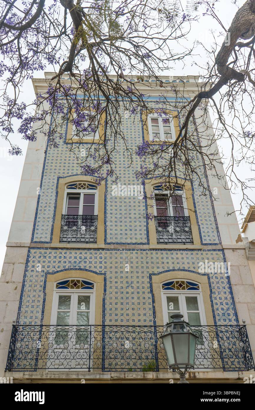 Historisches portugiesisches Stadthaus mit blauen Azulejo-Fliesen, schmiedeeisernen Balkonen und Jacaranda-Zweigen, Algarve, Portugal. Stockfoto