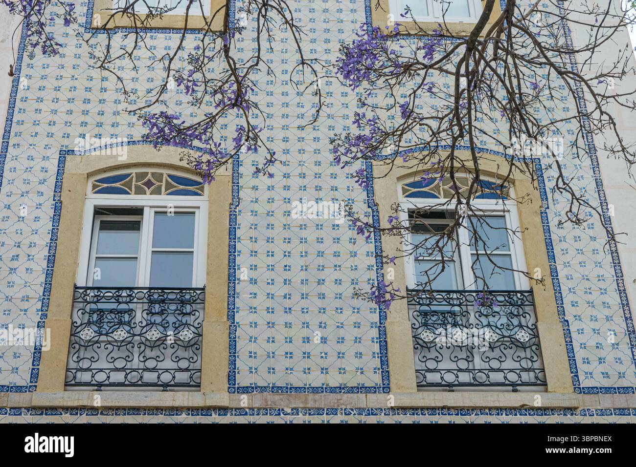 Nahaufnahme der portugiesischen Azulejo-Fliesenfassade mit blühenden Jacaranda-Zweigen, traditionelle Architektur, Algarve, Portugal. Stockfoto