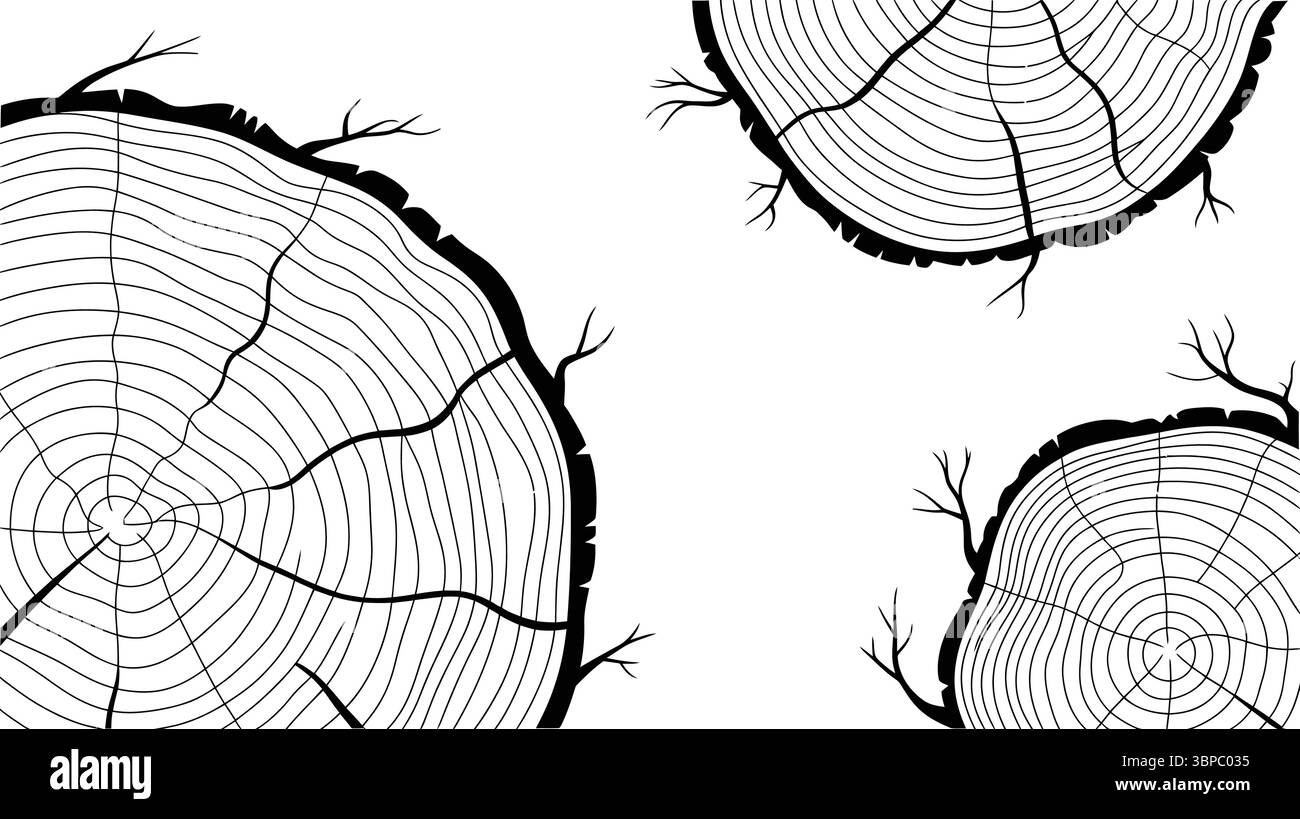 Zwei Baumstammquerschnitte mit sichtbaren Wachstumsringen in einem schwarz-weißen Linienformat Stock Vektor