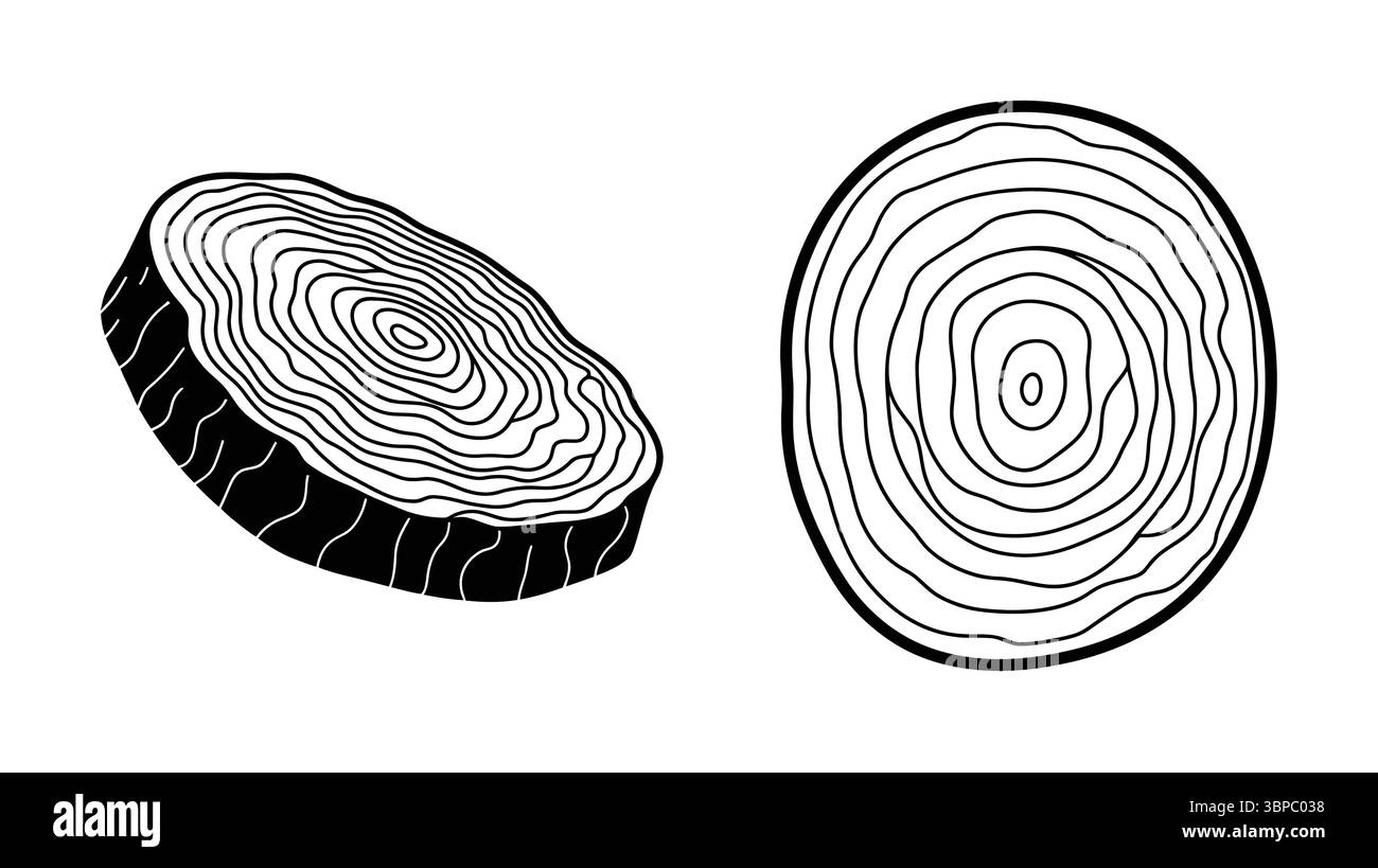 Zwei Baumstammquerschnitte mit sichtbaren Wachstumsringen in einem schwarz-weißen Linienformat Stock Vektor