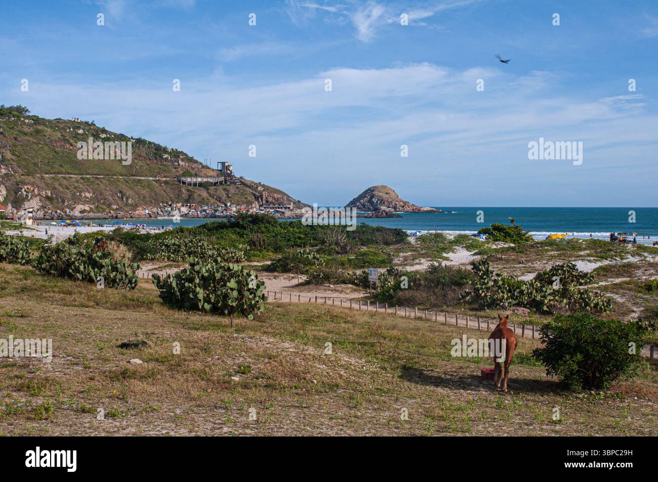Praia Grande in Arraial do Cabo, Brasilien, bietet atemberaubendes türkisfarbenes Wasser, weiße Sandstrände und dramatische Klippen – ein wahres tropisches Paradies. Stockfoto