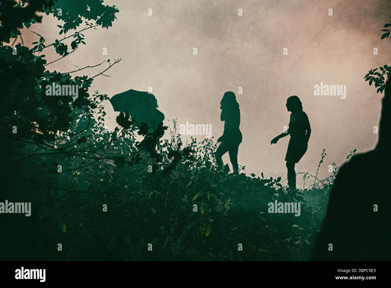 Umweltaktivisten flüchten durch den Wald nach Tränengasangriffen.Turboteuf gegen die A69. Rund 1.500 Menschen versammelten sich, um die Wiederaufnahme der Arbeiten an der A69 mit einer entschlossenen Party und Karneval abzulehnen. FRANKREICH Maurens-Scopont Juilly 5 2025. Foto von Axel Gras / DyF Agency. Des millitants ecologistes fuie à travers la forets apres des tirs de gaz lacrymogenes. Turboteuf contre la A69. Environ 1500 personnes se sont reunis pour dire non a la reprise des travaux de la A69 a travers une fete et un carnaval bestimmen. FRANKREICH Maurens-Scopont le 5 Juillet 2025. Stockfoto