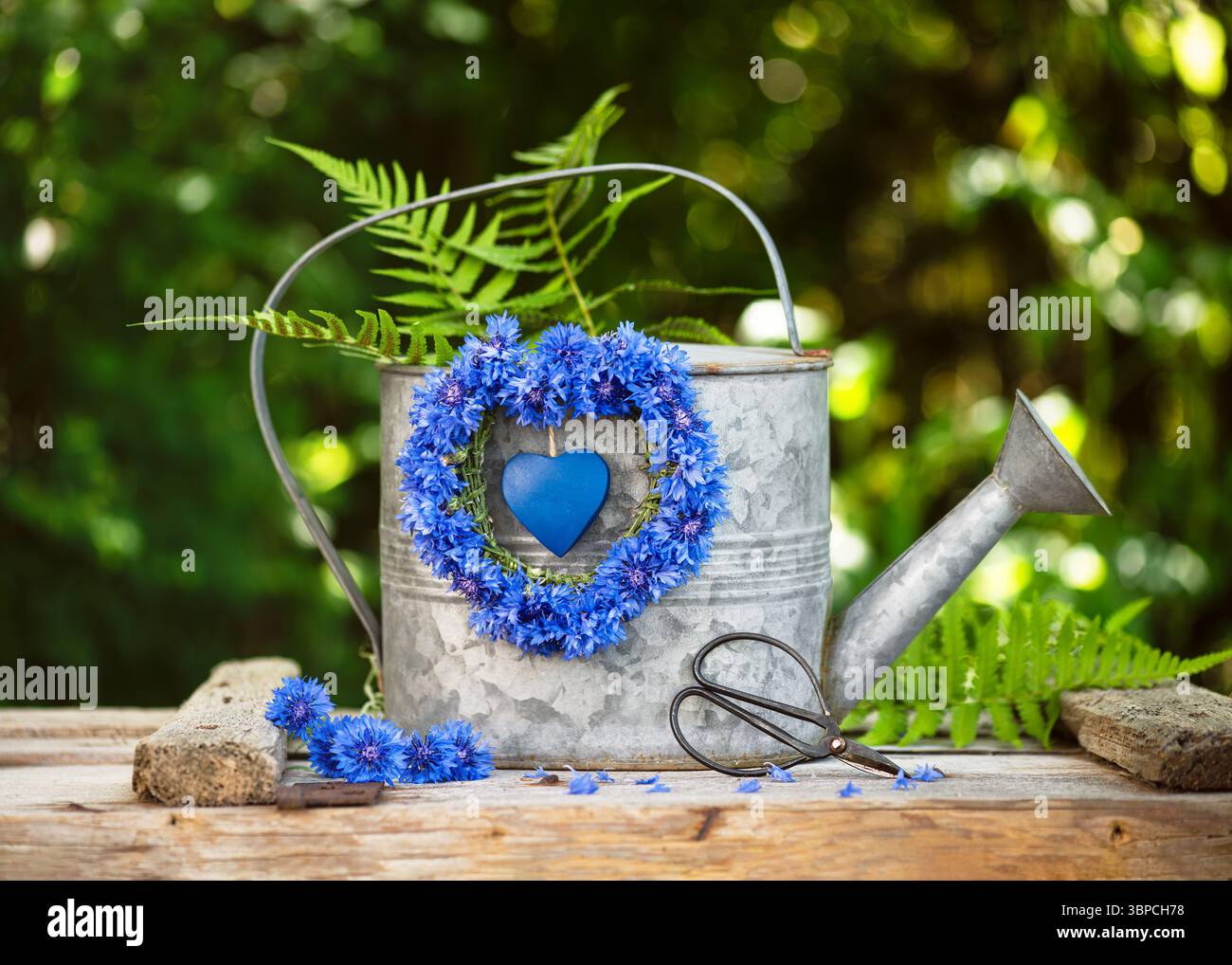 Sommerblumen-Arrangement mit handgefertigtem Kranz aus frischen tiefblauen Kornblumen (Centaurea cyanus) und hölzernem Herz hängt an alter Metallgießkanne Stockfoto