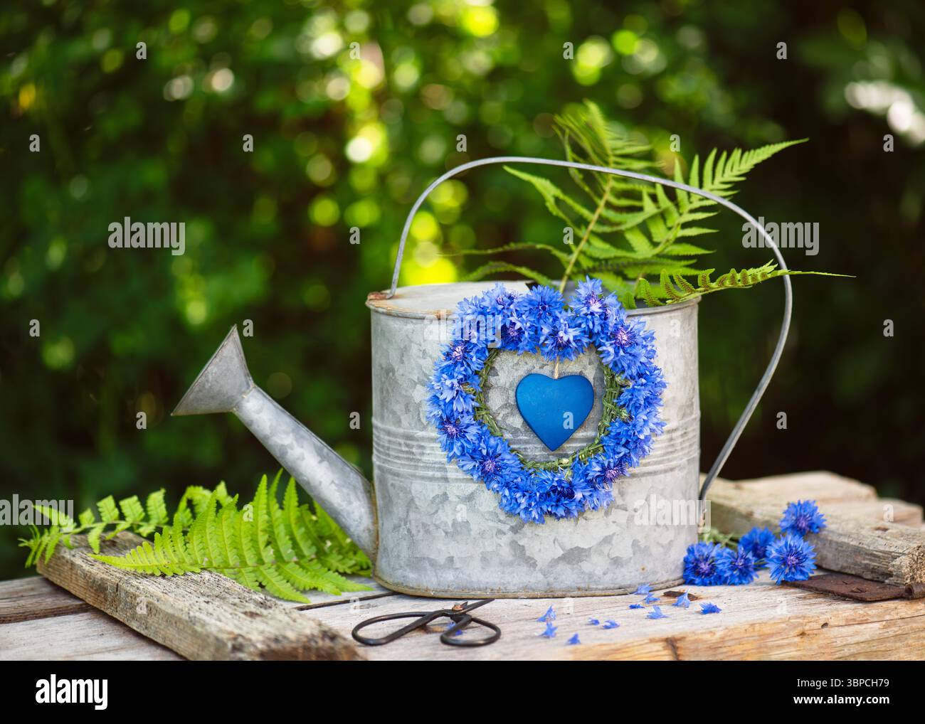 Wunderschönes Natursommerdekor mit handgefertigtem Kranz aus frischen tiefblauen Kornblumen (Centaurea Cyanus) und hölzernem Herz hängt an alter Metallgießkanne. Stockfoto