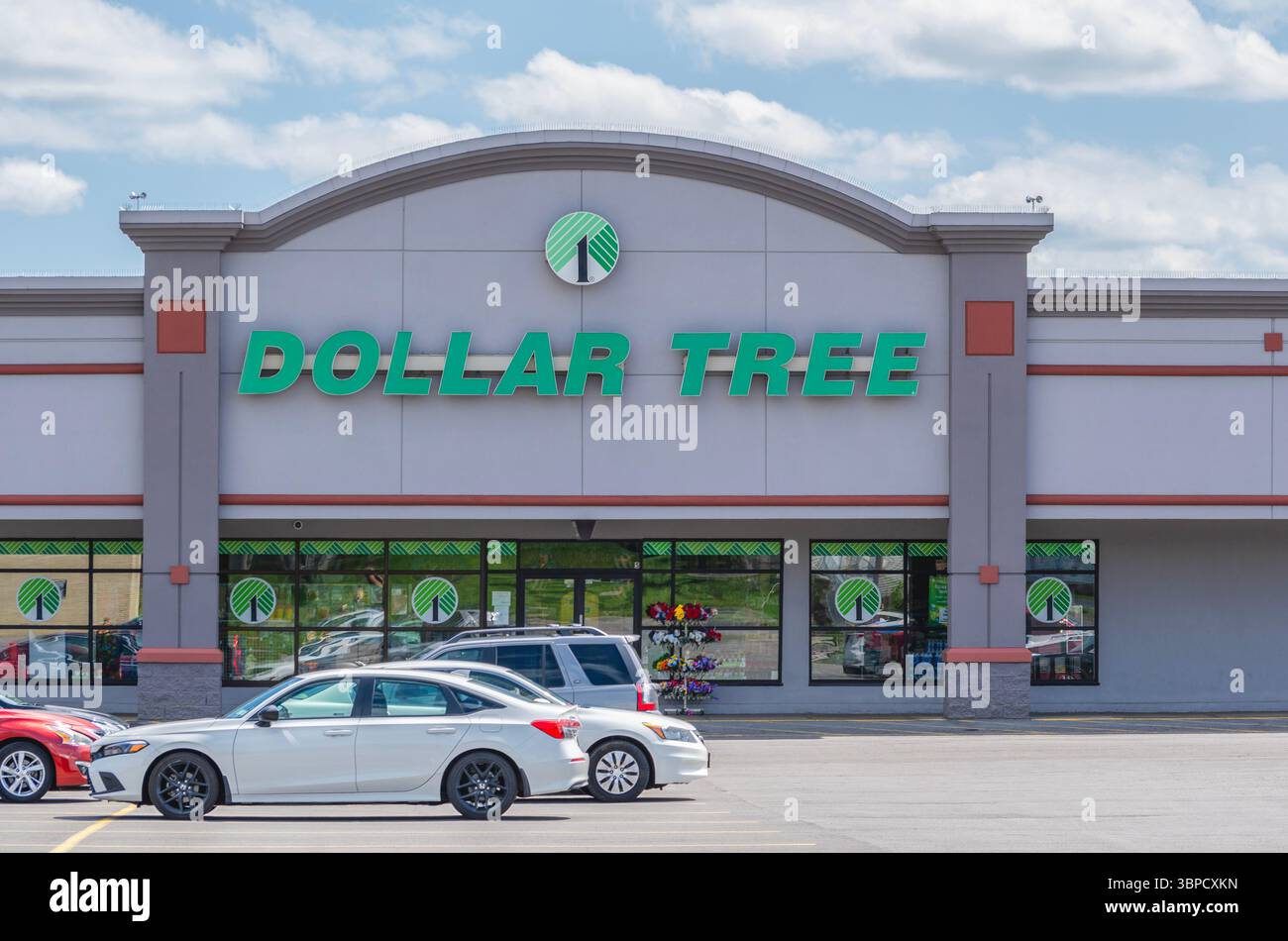 Utica, NY - 29. Juni 2025: Close-up des Dollar Tree Store ist ein Fortune-200-Unternehmen und einer der führenden Anbieter von Discounter in Nordamerika. Stockfoto