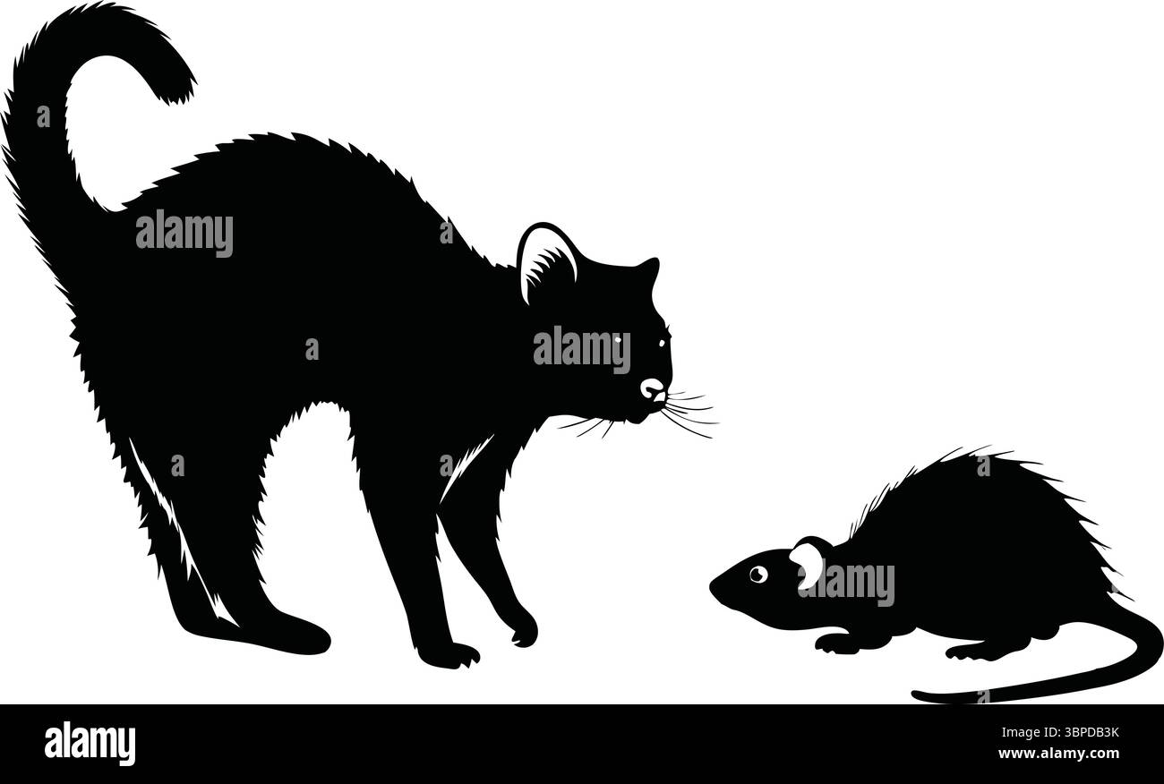 Katze und Maus Silhouette Vektor, Schwarzes Tier Clipart, isoliertes Haustier, Natur Wildlife Illustration, einfache Umrisse, Furry Mammal Design, Schattenzeichnung Stock Vektor