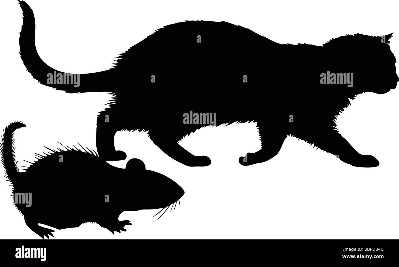 Katze und Maus Silhouette Vektor, Schwarzes Tier Clipart, isoliertes Haustier, Natur Wildlife Illustration, einfache Umrisse, Furry Mammal Design, Schattenzeichnung Stock Vektor