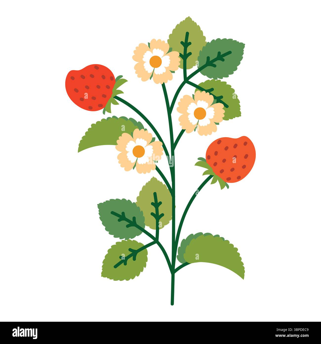 Erdbeerbusch mit Blumen, Blättern und Beeren. Bunte kindliche Pflanze mit niedlichen Linienskizzen von Zweigen isoliert auf weißem Hintergrund. Natur Stock Vektor