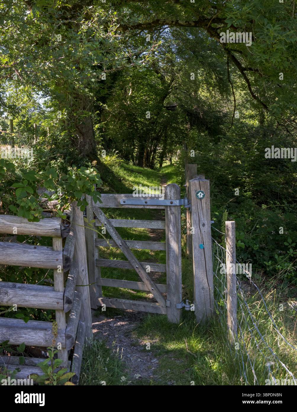 Holztor mit Wegmarkierung auf dem Weg in West Wales, Großbritannien Stockfoto