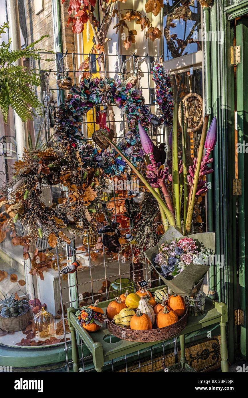 Herbst, Herbst, Blume, Arrangements bei Bramble & Moss Independent Florist in Richmond, London, Großbritannien Stockfoto