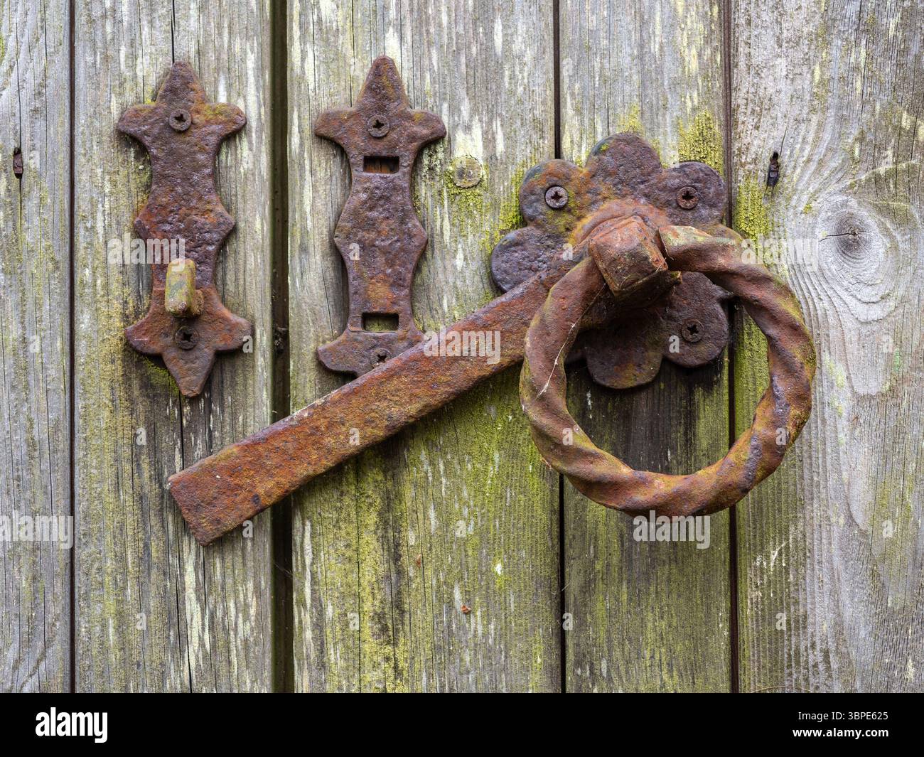 Rostiger Eisenriegel an einem verwitterten Holztor, Großbritannien Stockfoto
