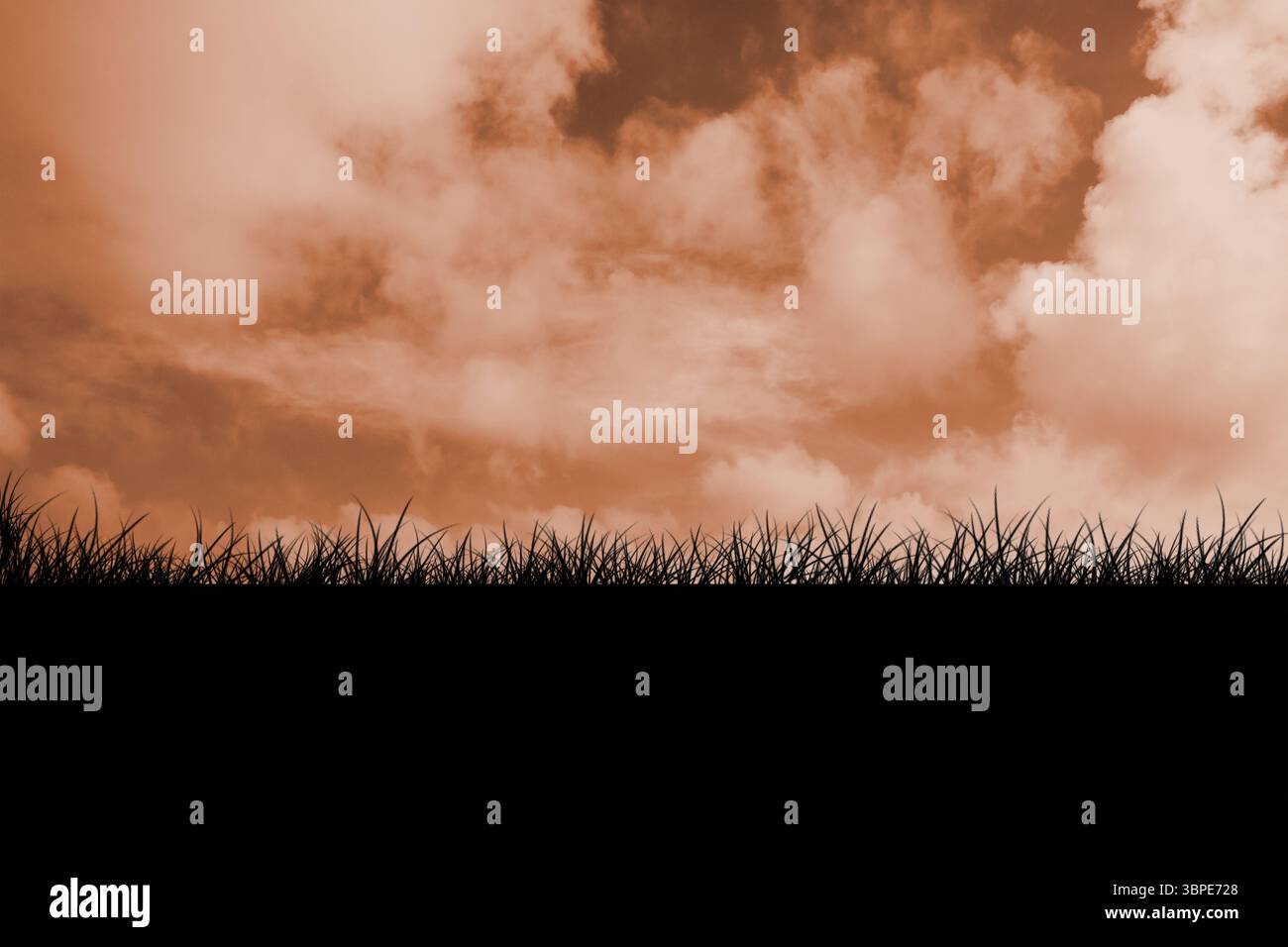 Flache Vektor-Grasklingen stehen am Horizont Silhouetten und füllen den bewölkten Himmel über dem Horizont Stockfoto