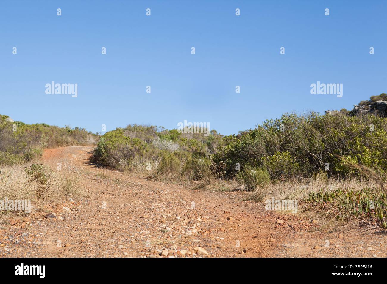 Der gewundene Schotterpfad besticht durch Buschland in flachem Design mit verstreuten Felsen und Sträuchern Stockfoto