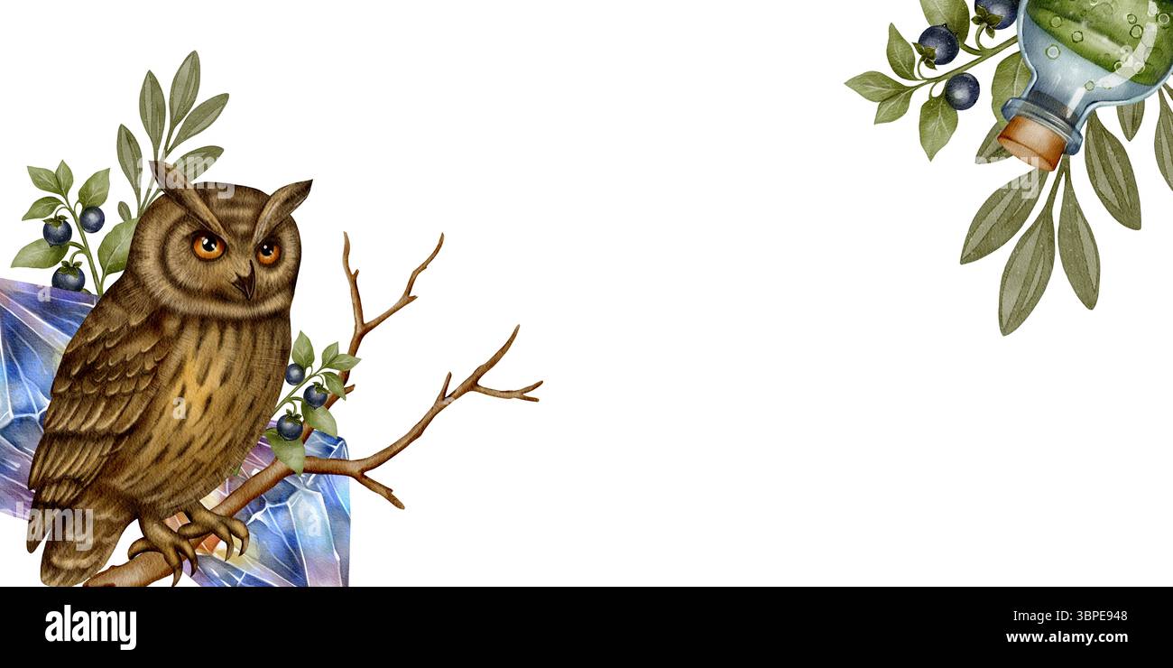 Horizontales Banner mit Eule, die auf einem Zweig sitzt, umgeben von Zauberkristallen, Tränkflasche und Blättern mit Beeren. Aquarellzeichnung auf weißem Hintergrund. Für Einladungen oder Labels mit Fantasy-Motiven. Stockfoto