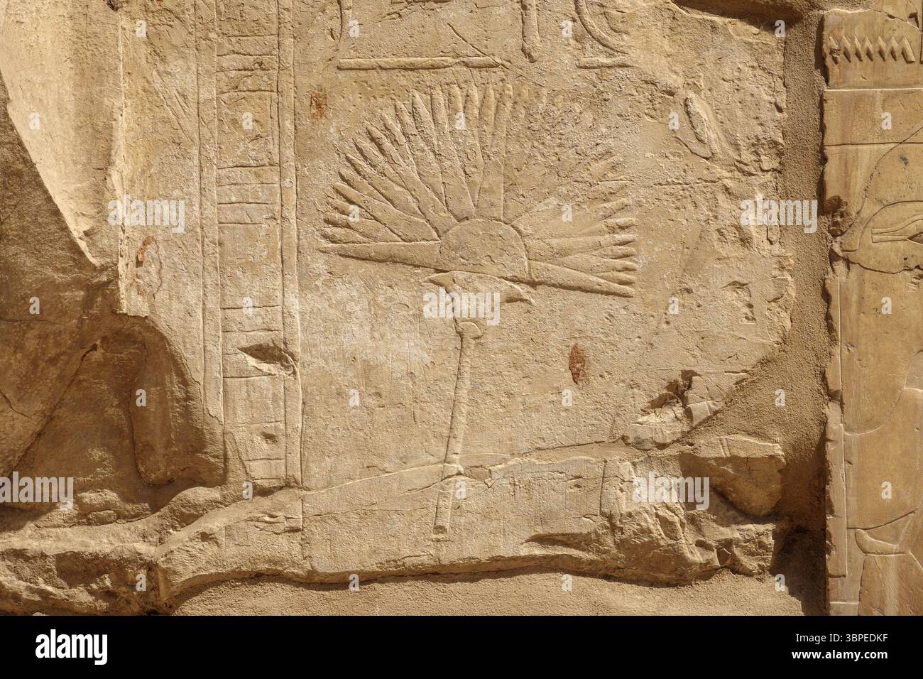 Nahaufnahme der Reliefarbeiten an rekonstruierten Wänden am Tempel in Karnak, Luxor Ägypten Stockfoto
