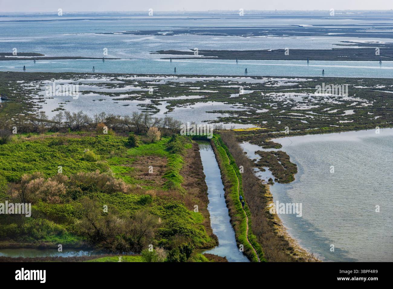 Torcello Insellandschaft in der Lagune von Venedig, Italien. Stockfoto