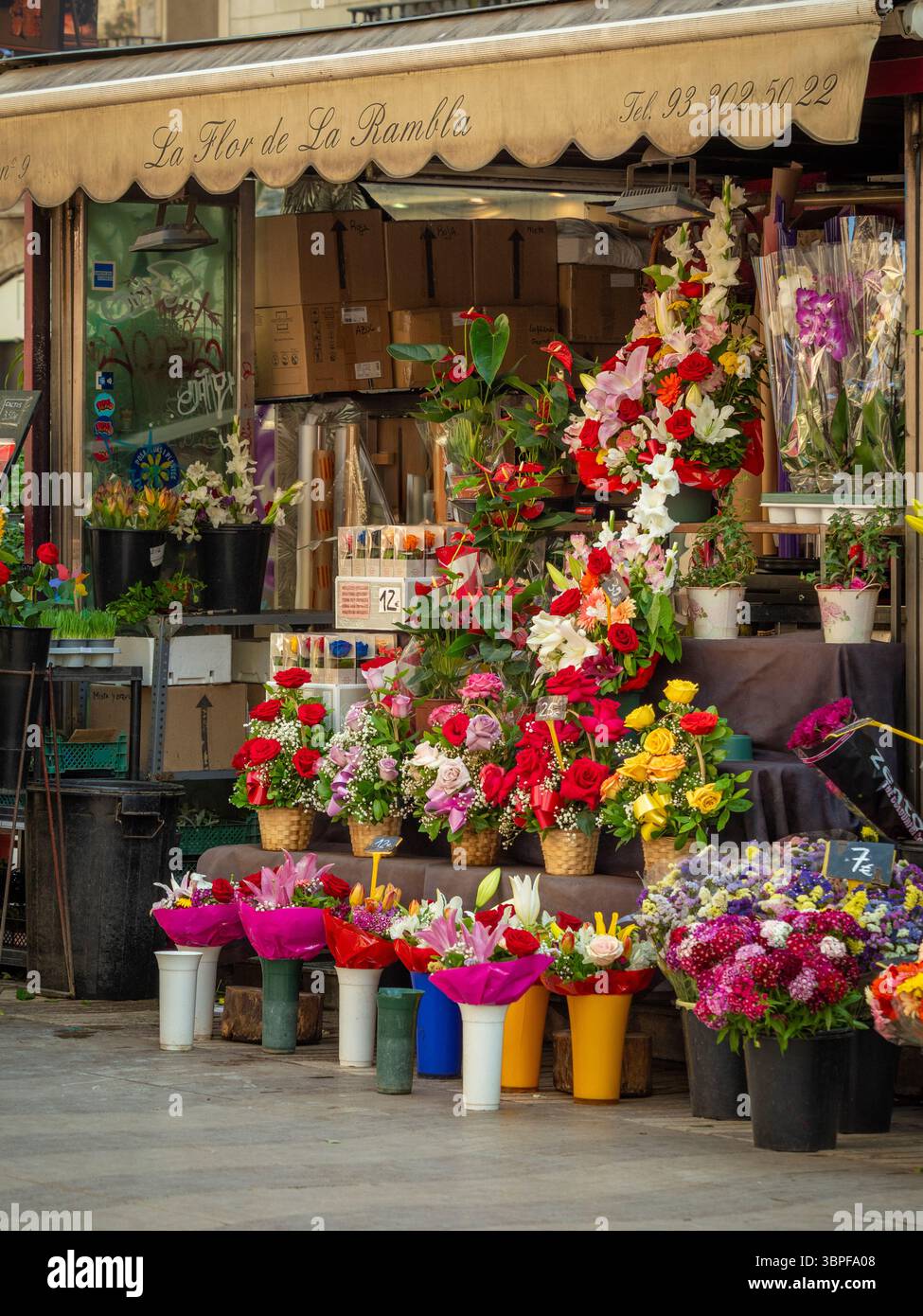 Ein traditioneller Blumenstand, „La Flor de La Rambla“, mit farbenfrohen Blumensträußen und Pflanzen zum Verkauf auf der berühmten Straße in Barcelona, Spanien. Stockfoto