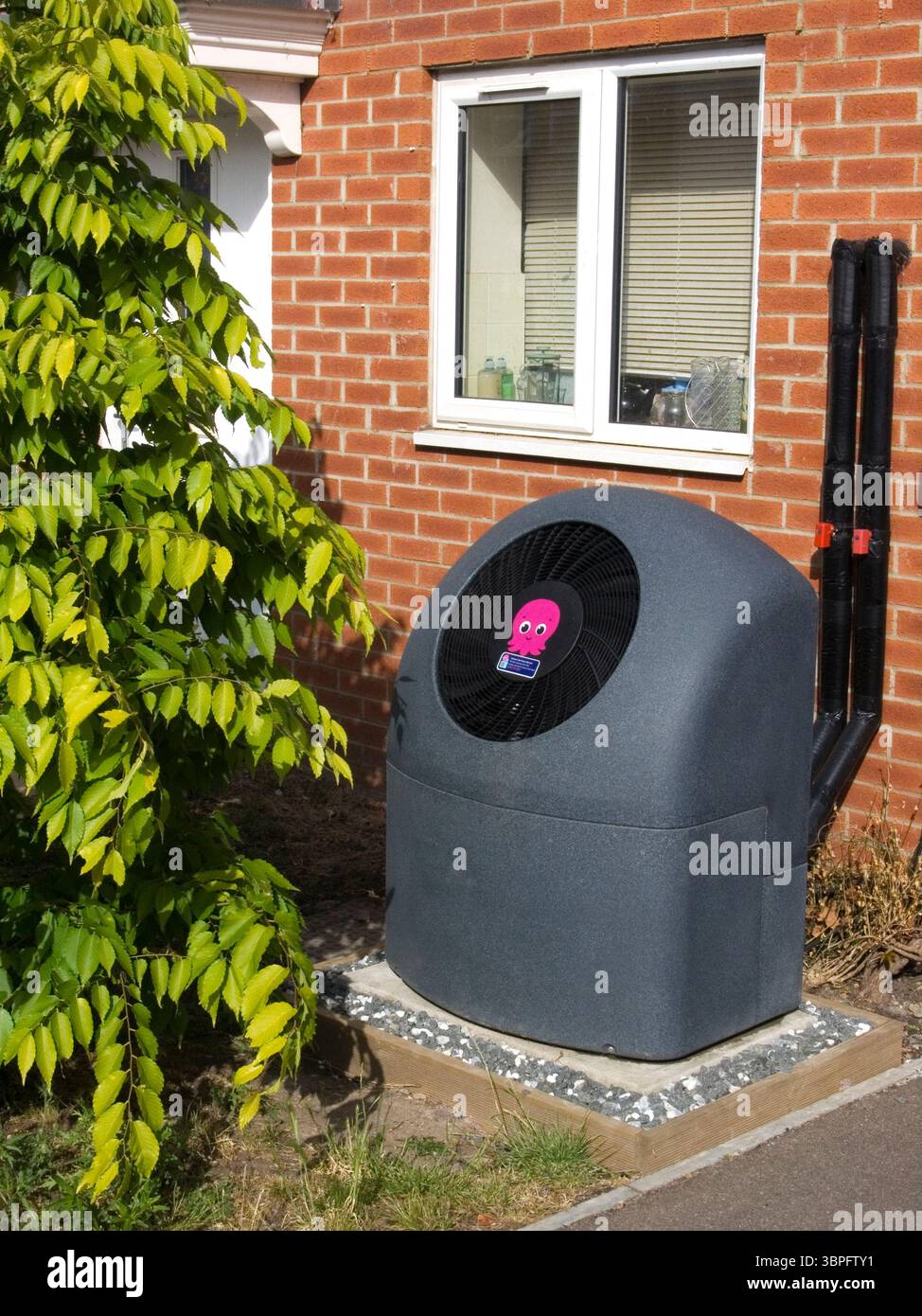 Oktopus-Wärmepumpe Stockfoto