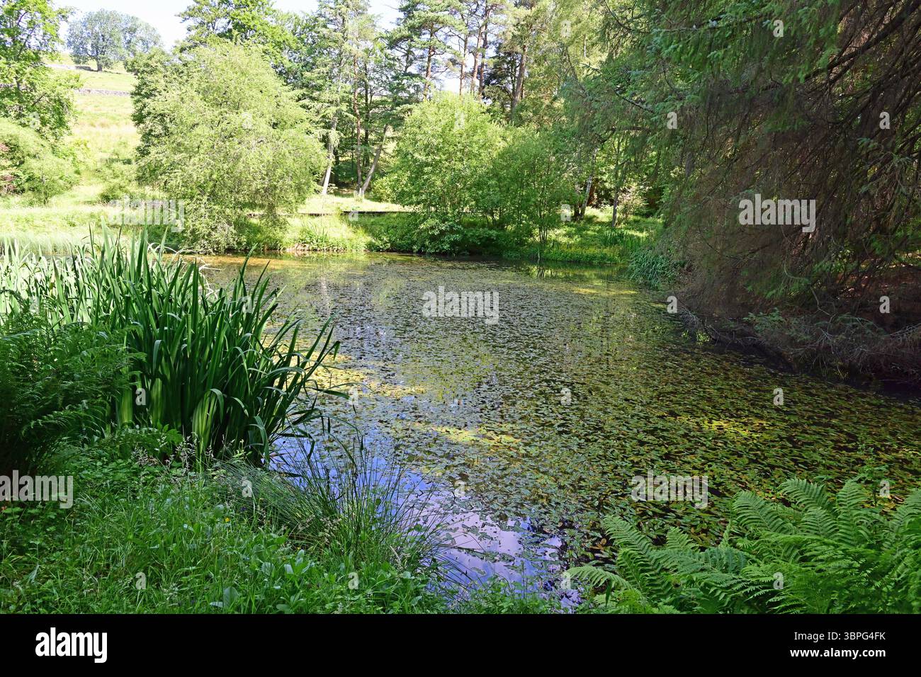 Parcevall Hall, Teich am Walk, Yorkshire Dales, Wharfedale, England Stockfoto