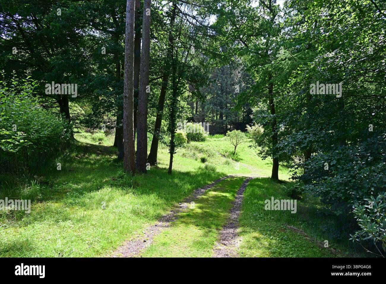 Parcevall Hall, Waldweg, Yorkshire Dales, Wharfedale, England Stockfoto