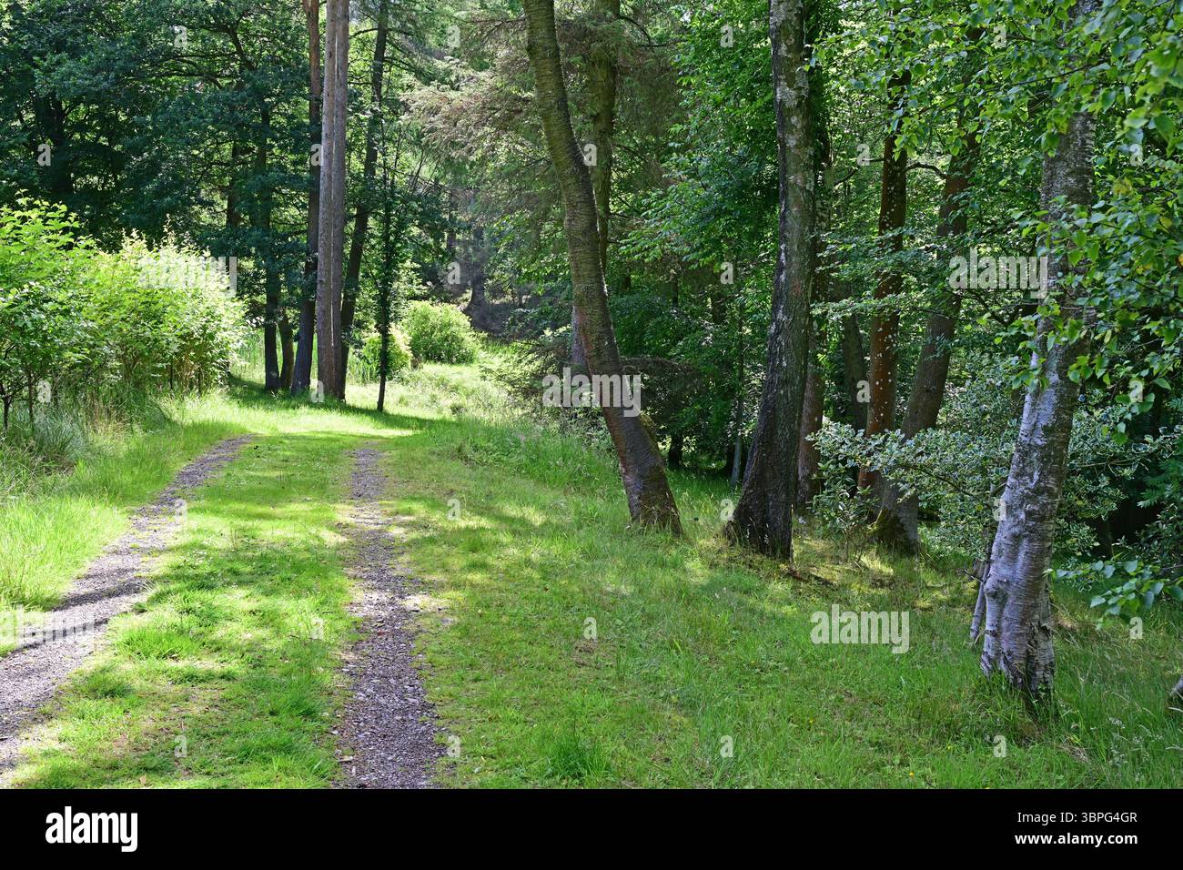 Parcevall Hall, Waldweg, Yorkshire Dales, Wharfedale, England Stockfoto