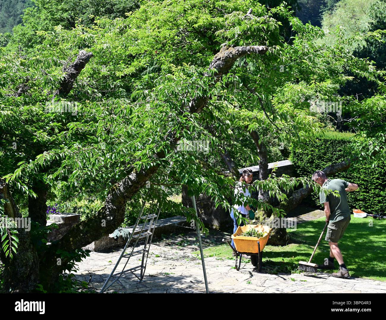 Parcevall Hall, zwei Gärtner, Yorkshire Dales, Wharfedale, England Stockfoto