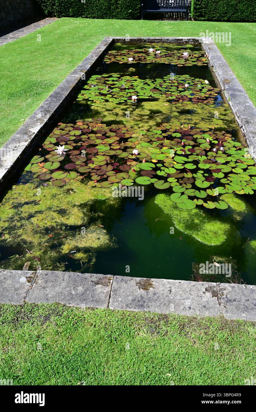 Parcevall Hall, Wate Lilly Pond, Yorkshire Dales, Wharfedale, England Stockfoto
