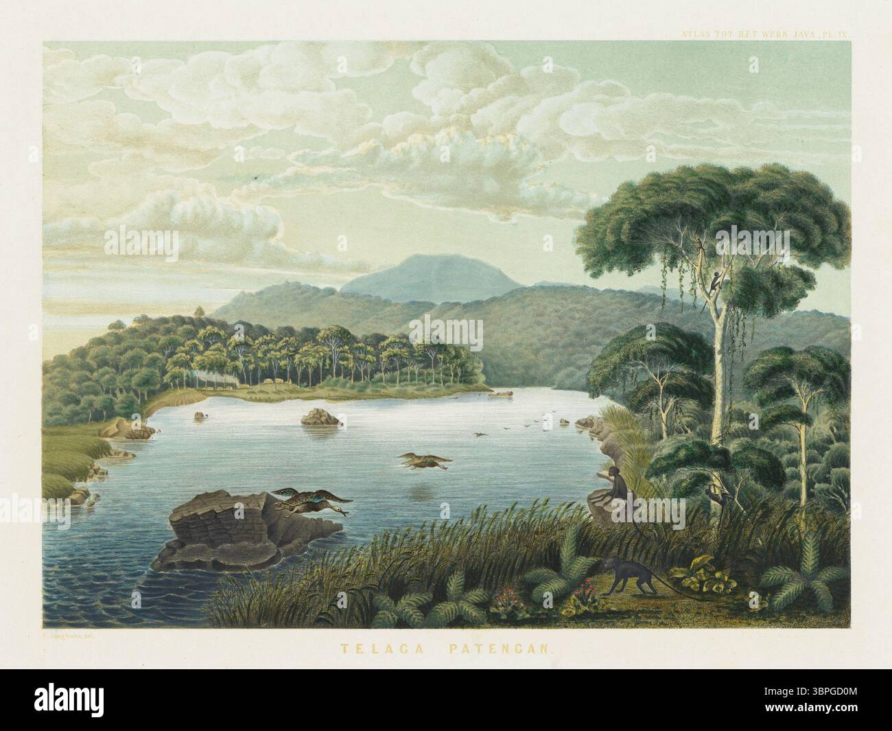 Lithografie aus dem Java-Album (1854) von Franz Wilhelm Junghuhn, das Telaga Patengan (Patenggang-See) in Java darstellt. Umgeben von üppigen tropischen Wäldern und fernen Bergen, ist der ruhige See von einheimischen Tieren wie Affen und Vögeln belebt. Stockfoto
