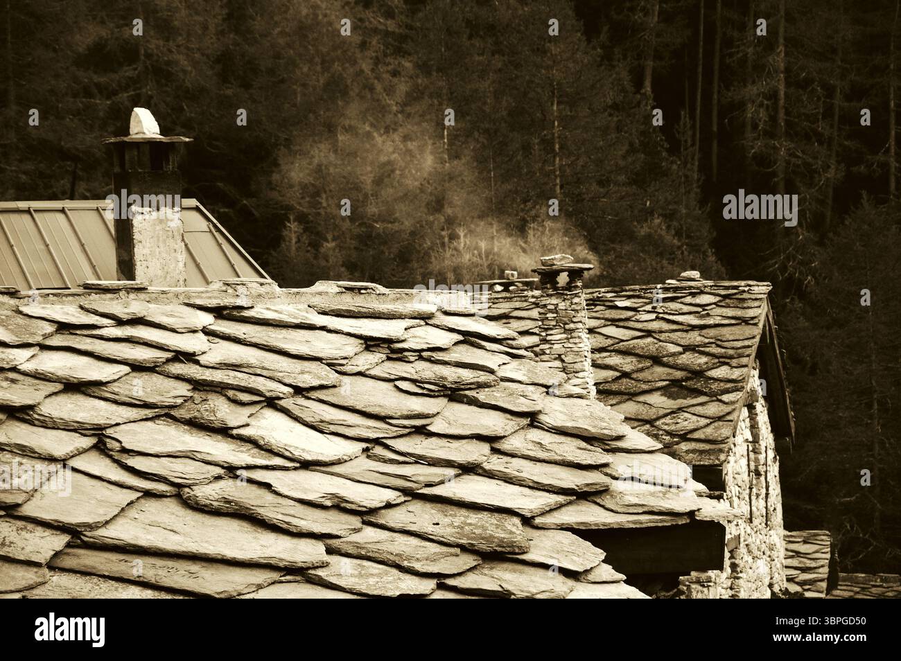 Savoie, Frankreich. Rauchschornsteine auf typischem Steinplatten-Dach; Wald im Hintergrund. Nationalpark Vanoise in den französischen Alpen. Historisches Foto von Sepia Stockfoto