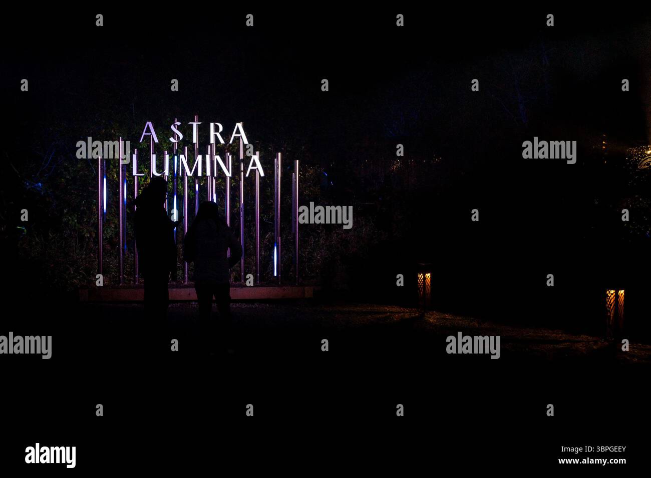 Seattle, USA. Januar 2025. Der atemberaubende Astra Lumina Walk in den Chinesischen Gärten im Westen von Seattle. Stockfoto
