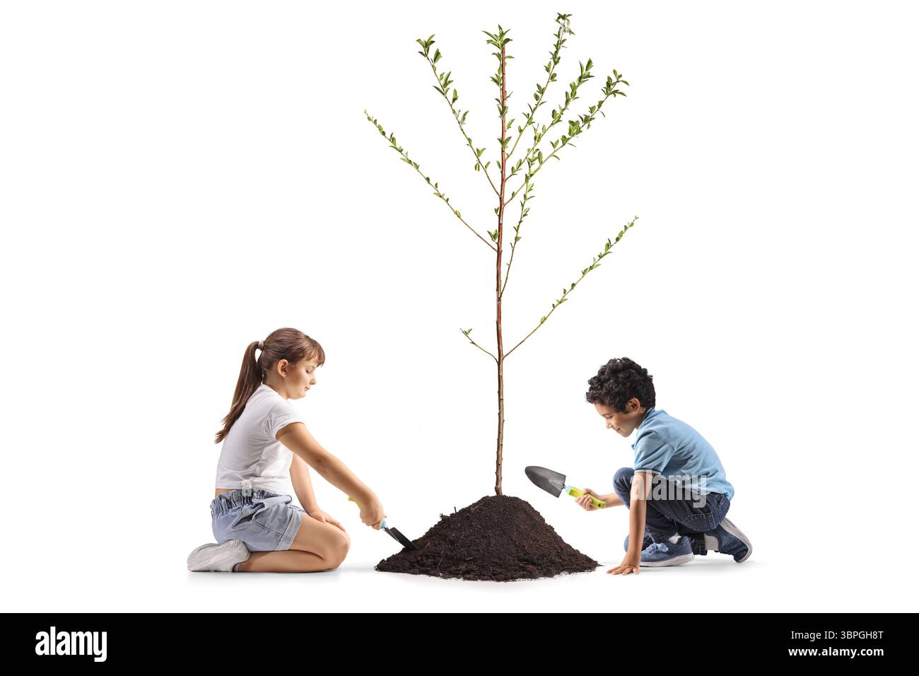 Kinder kniend und pflanzt einen Baum isoliert auf weißem Hintergrund Stockfoto