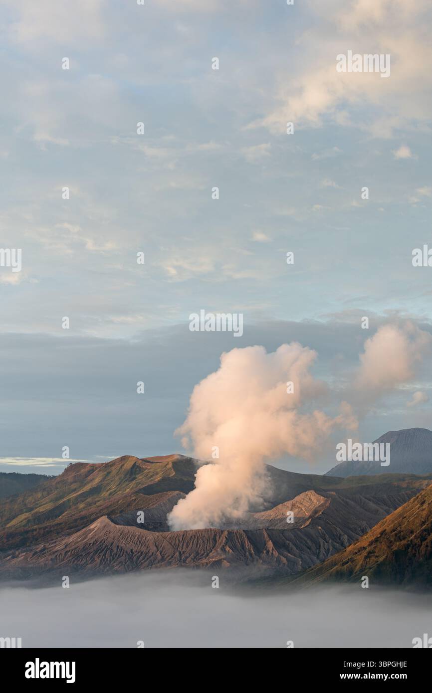 Blick auf vulkanische Gipfel, die durch ein Meer aus ätherischem Nebel stechen, Rauchschwaden, die vor dem Hintergrund des weichen, pastellfarbenen Himmels aufsteigen, Mount Bromo, Ost-Java, Stockfoto