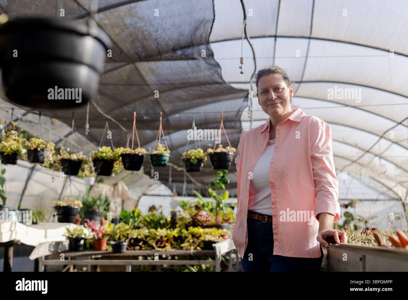 Senior-Gärtnerin lehnt sich auf Bank unter schattigem Vordach mit Pflanzen und hängenden Töpfen, Kopierraum Stockfoto