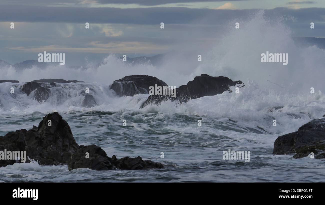 Raue Wellen treffen eine Küste auf der südlichen Vancouver Island Stockfoto
