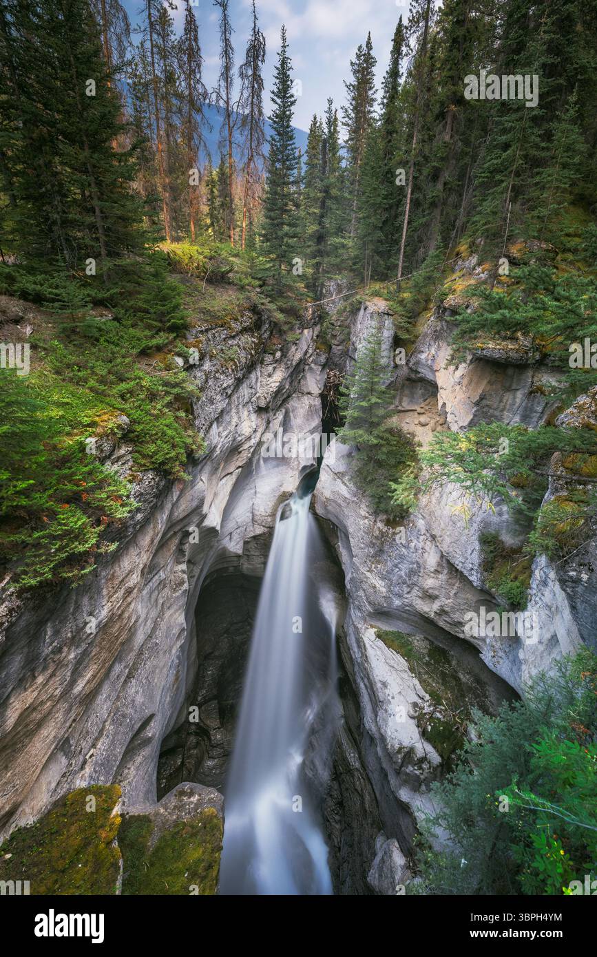 Blick auf einen mächtigen Wasserfall, der durch eine enge, felsige Schlucht fällt, umgeben von üppiger grüner Vegetation und hoch aufragenden Bäumen, Jasper National Park, Al Stockfoto