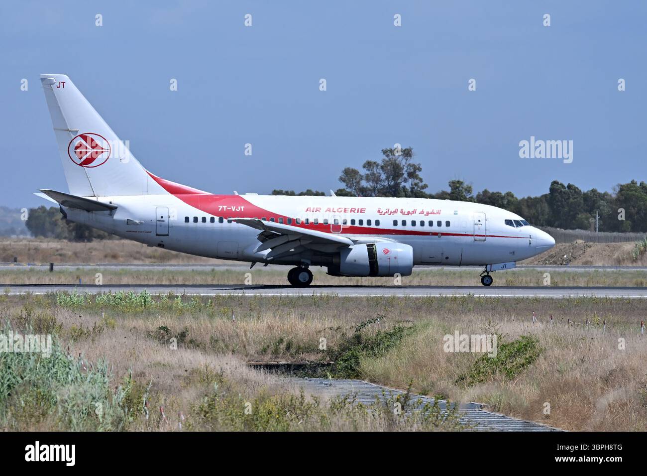 Fiumicino, Latium. Juli 2025. Boeing 737-600 Air Algerie.Aircraft zum Flughafen Fiumicino. Fiumicino (Italien), 08. Juli 2025 Photographer01 Credit: Independent Photo Agency/Alamy Live News Stockfoto