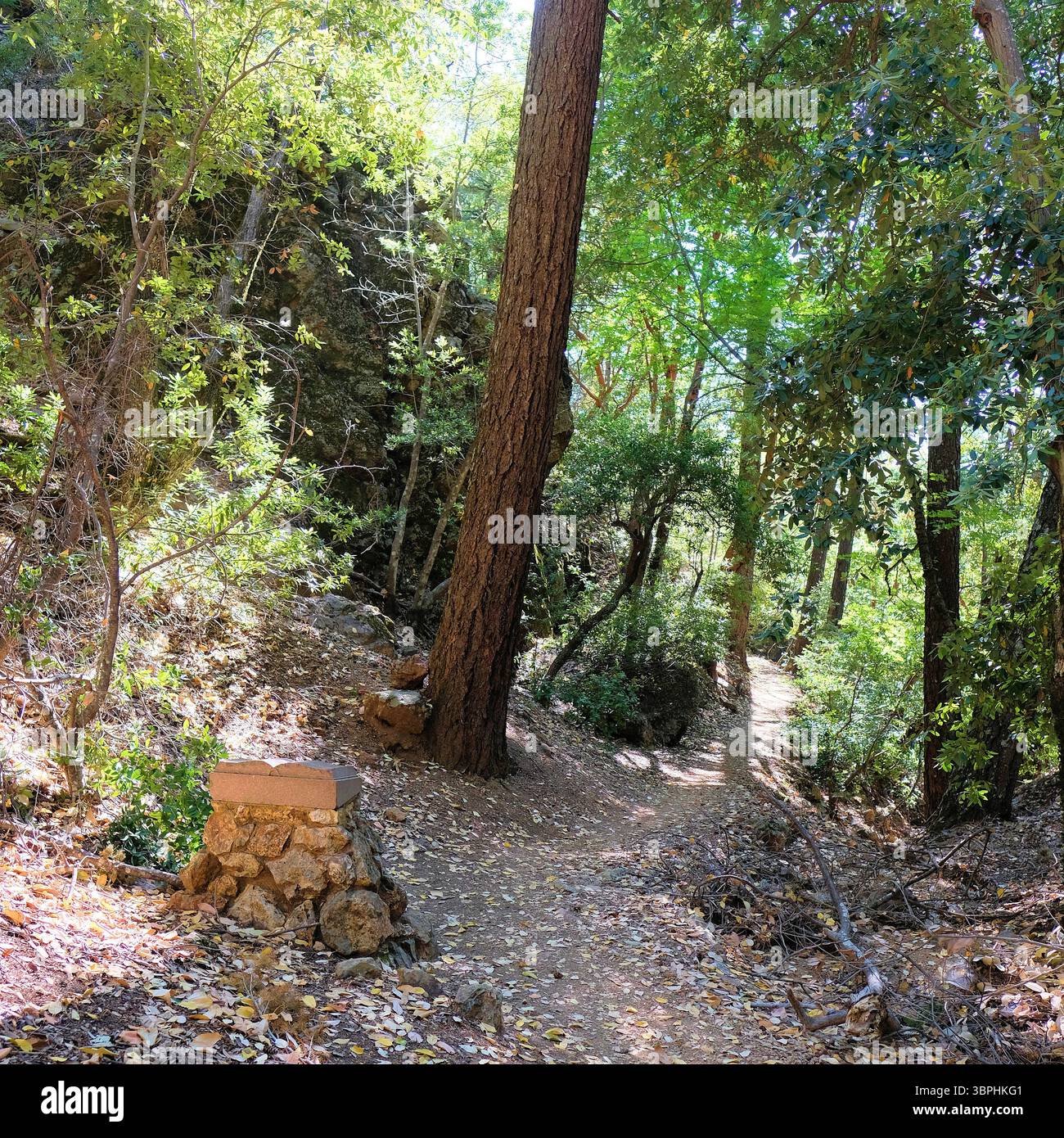 Robert Louis Stevenson Monument zur Erinnerung an die Zeit des Autors im heutigen Robert Louis Stevenson State Park in der Nähe von Calistoga, Kalifornien. Stockfoto